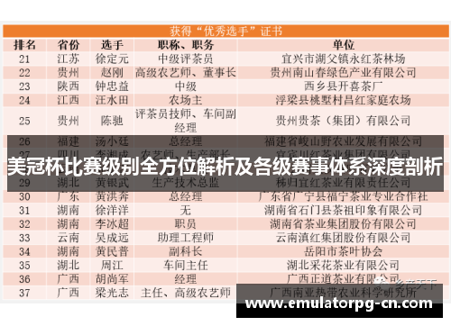 美冠杯比赛级别全方位解析及各级赛事体系深度剖析