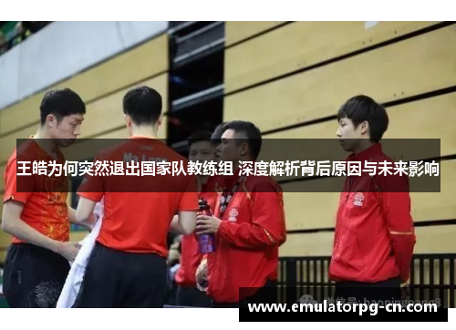 王皓为何突然退出国家队教练组 深度解析背后原因与未来影响