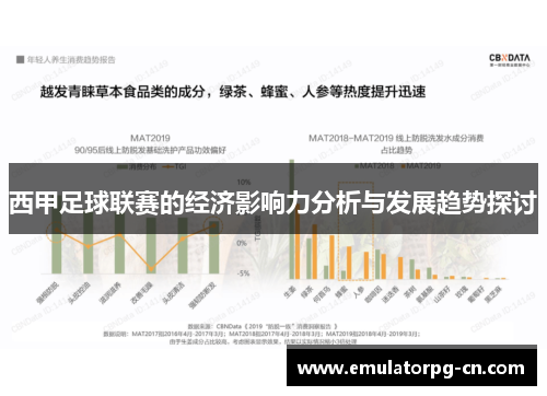 西甲足球联赛的经济影响力分析与发展趋势探讨